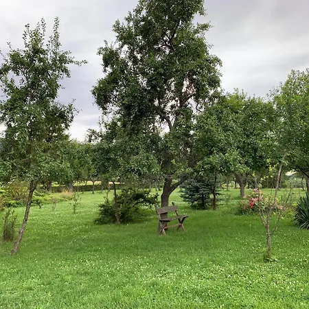 Csonkas Kuria Vendeghaz Zemplen Prázdninový dům Mogyoroska